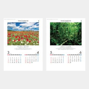 NC-5 エコロジーカレンダー(守ろう地球の自然)