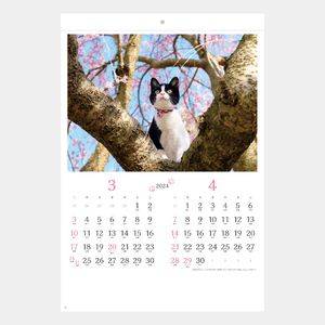 SB-120（SB-121） 猫さんぽ〔2ヶ月玉〕 名入れカレンダー  