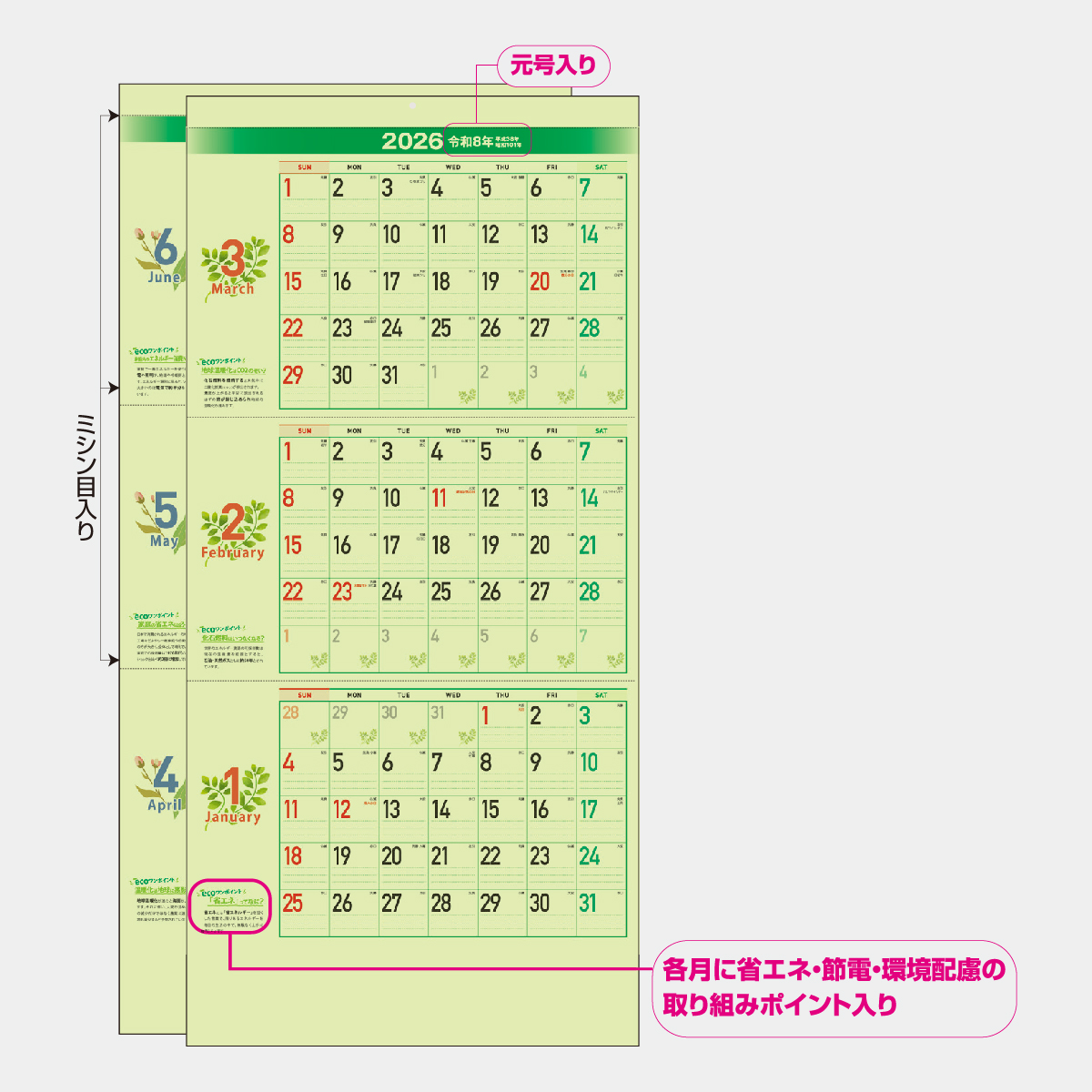 AA-200 リラックススケジュール（３ヶ月） 