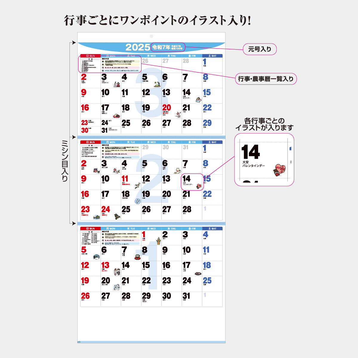 AA-201 ライフスタイル３ヶ月