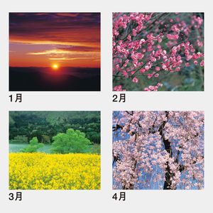 HB-14 四季彩光(前田真三特選集)