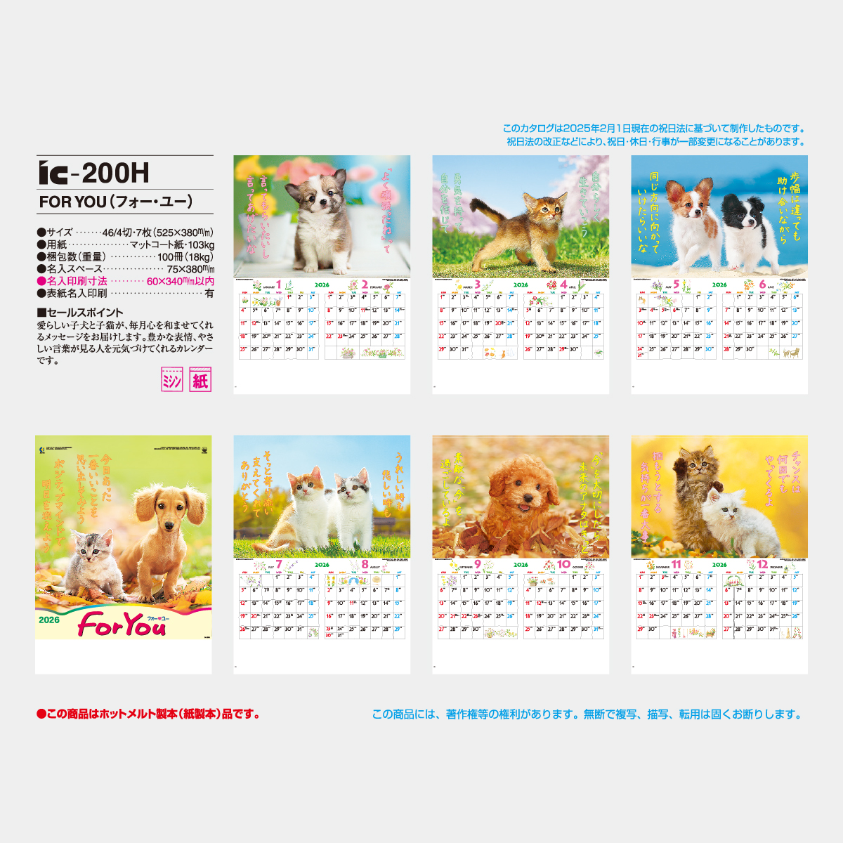 IC-200 FOR YOU(フォー･ユー)