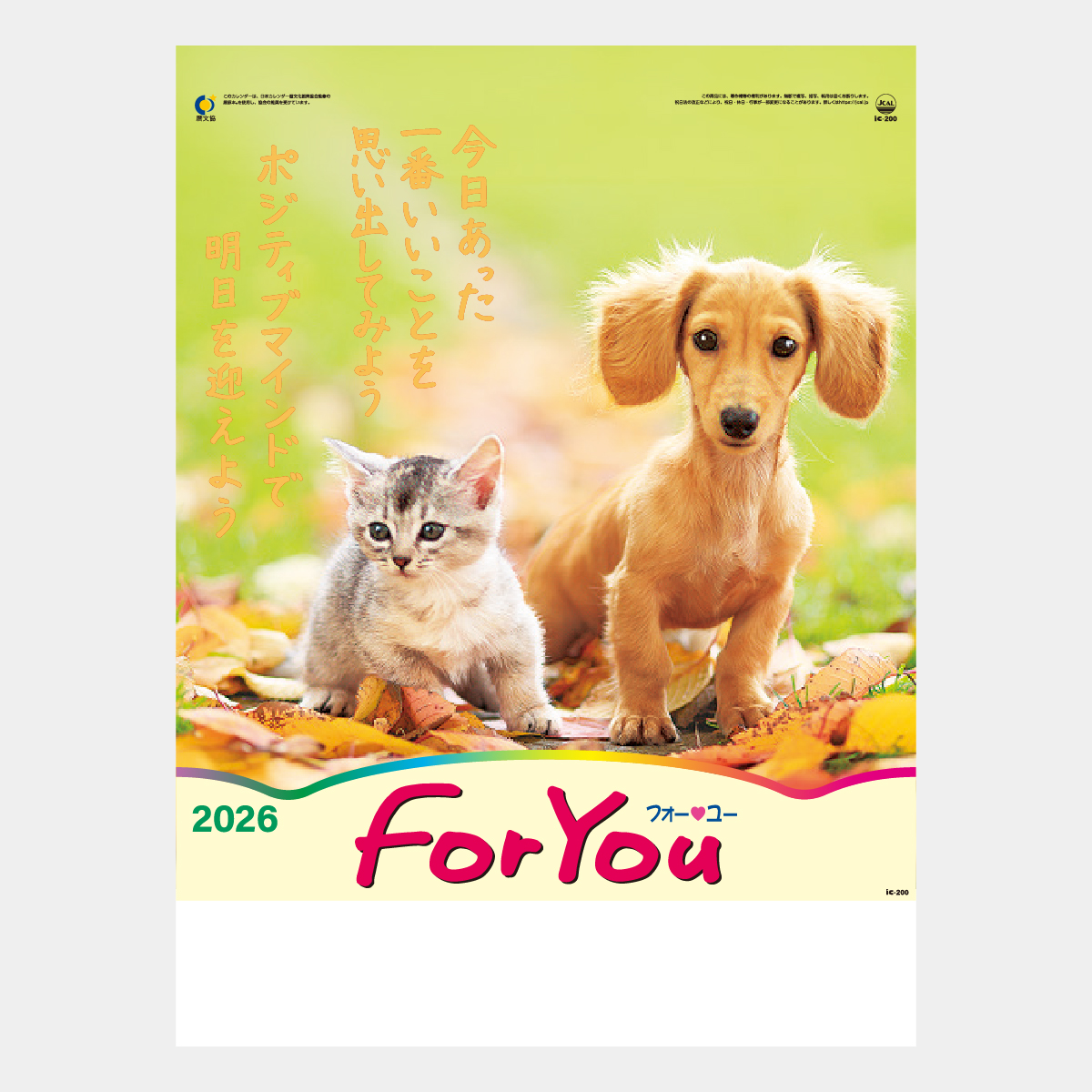 IC-200 FOR YOU(フォー･ユー)