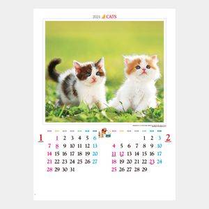 IC-201 かわいい猫 名入れカレンダー  