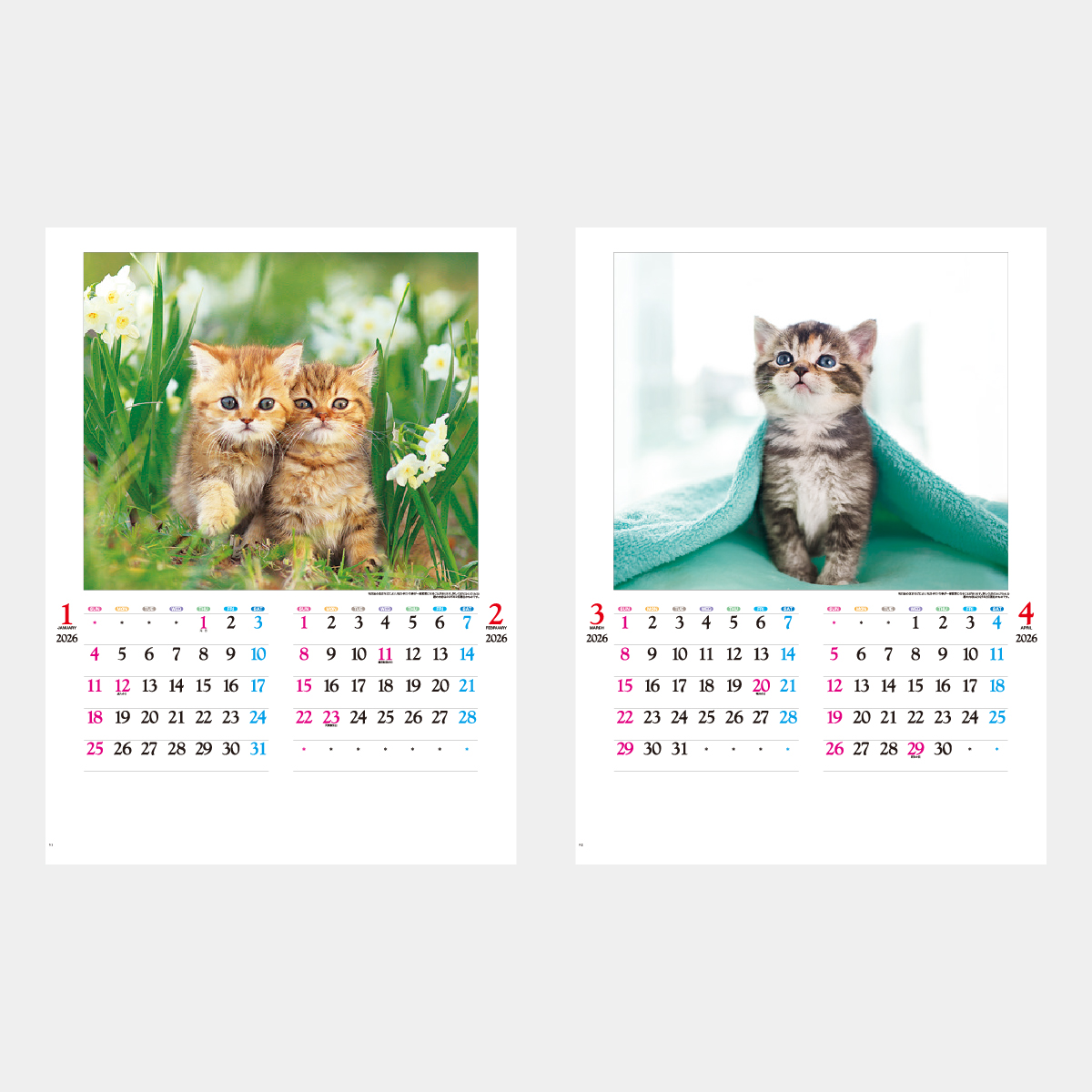 IC-201 かわいい猫2026年版の名入れカレンダーを格安で販売 - 名