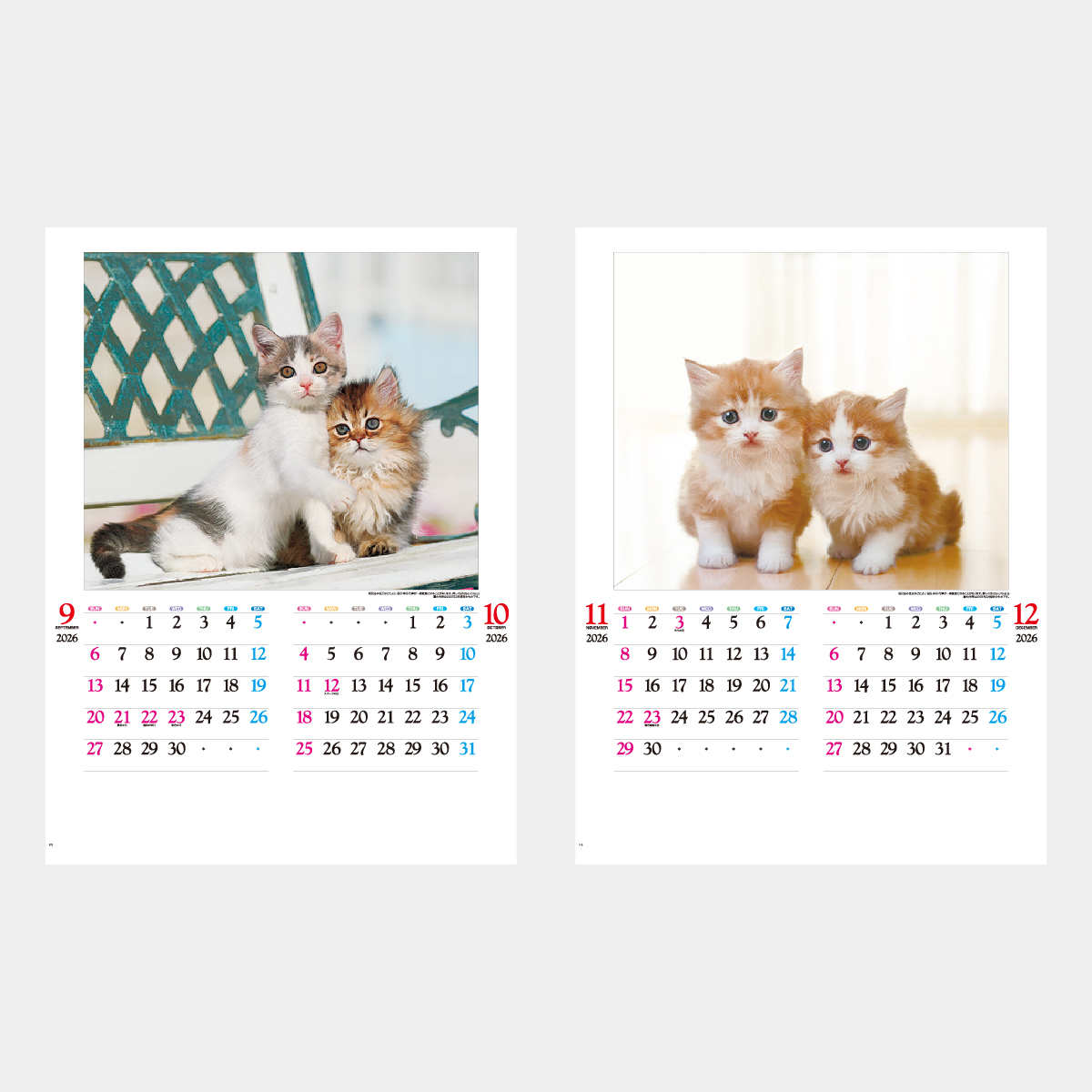 IC-201 かわいい猫