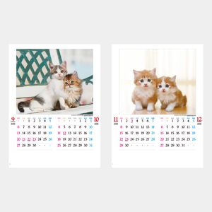 IC-201 かわいい猫
