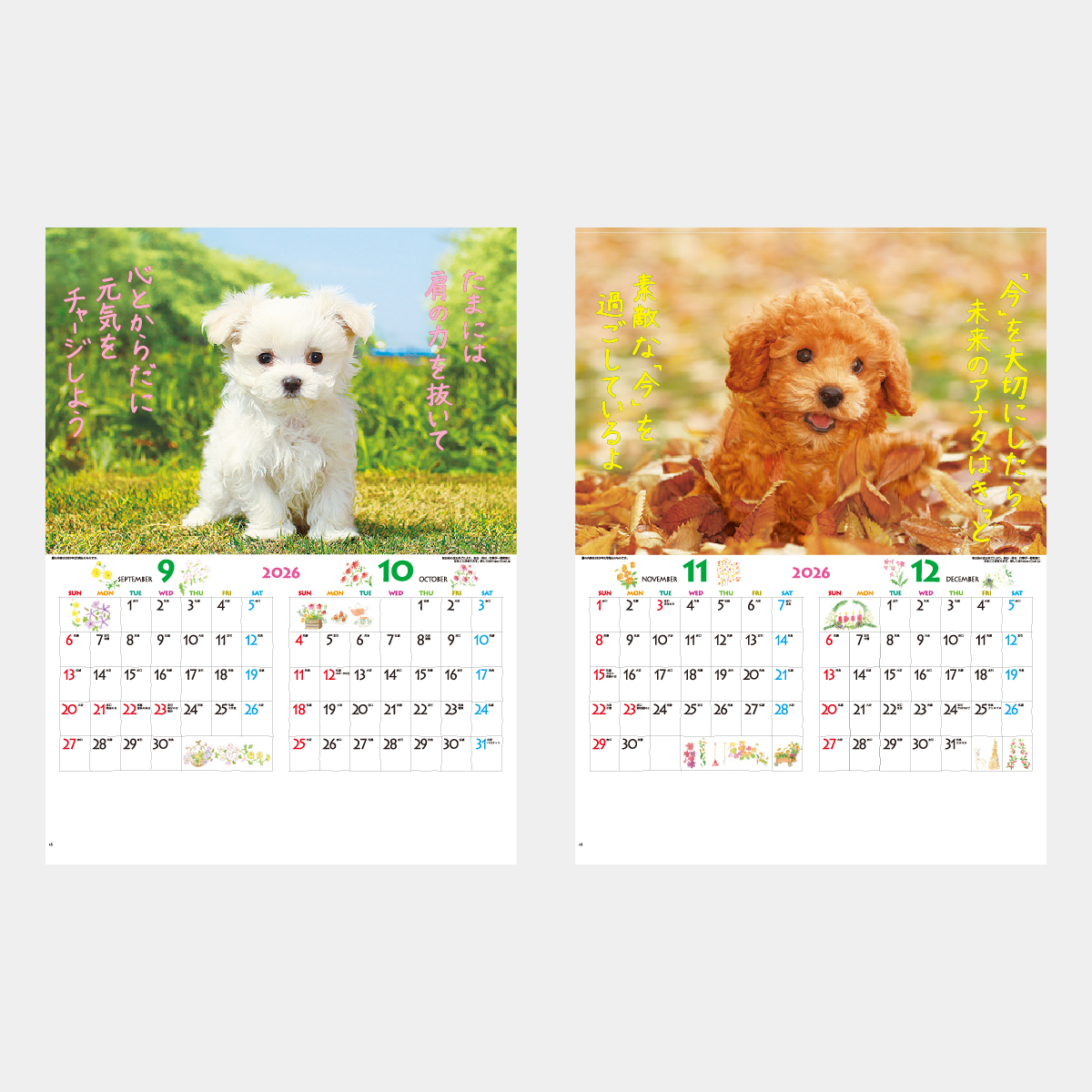 IC-202 こいぬのきもち