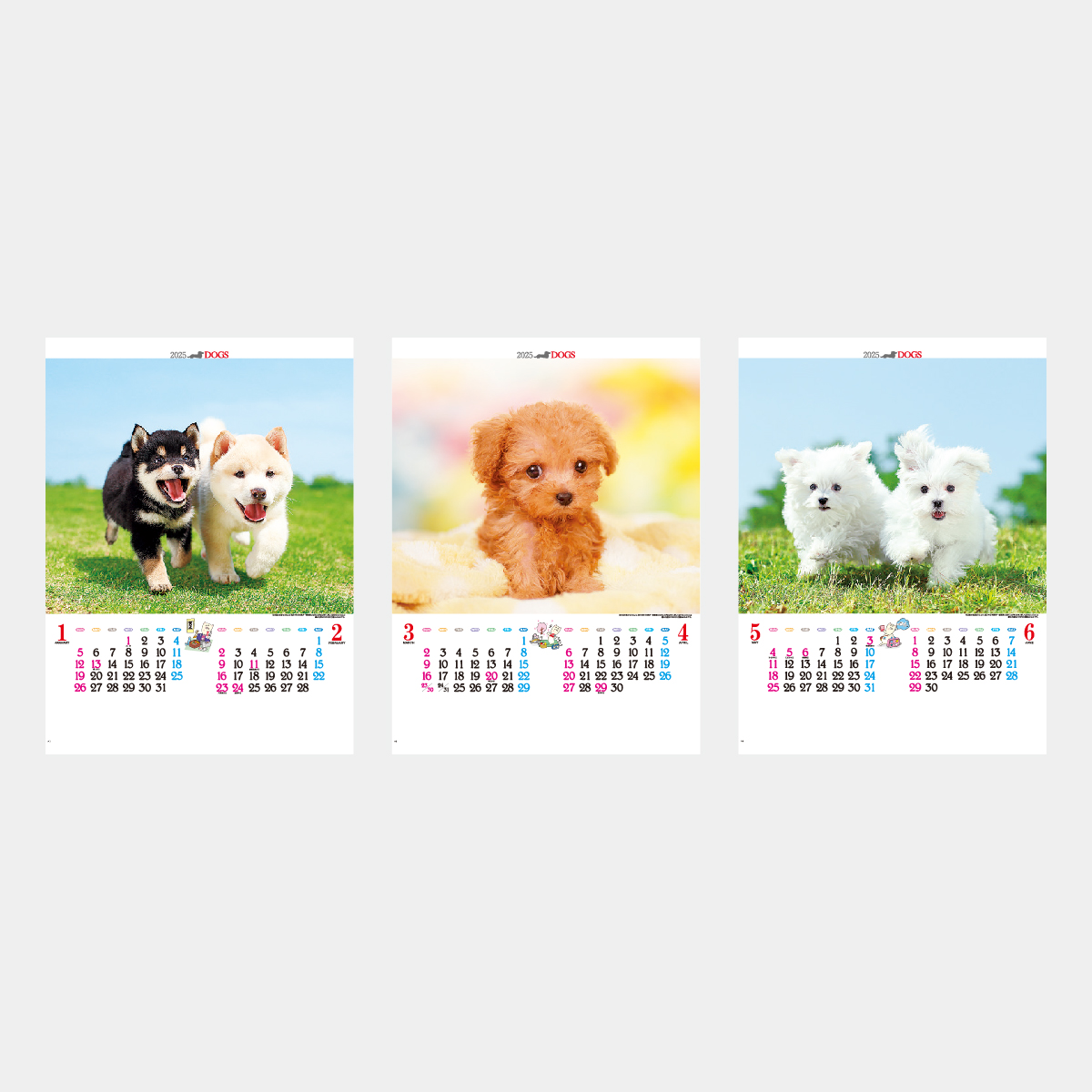 Ic 3 かわいい犬 22年版の名入れカレンダーを格安で販売 名入れカレンダー印刷 Com