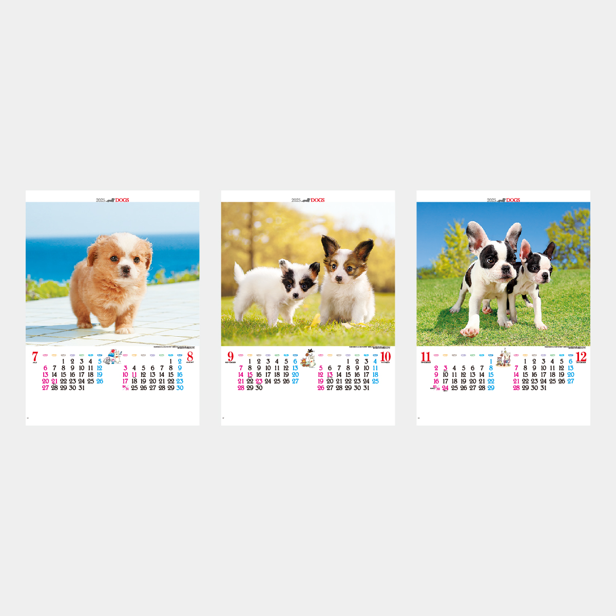 Ic 3 かわいい犬 22年版の名入れカレンダーを格安で販売 名入れカレンダー印刷 Com