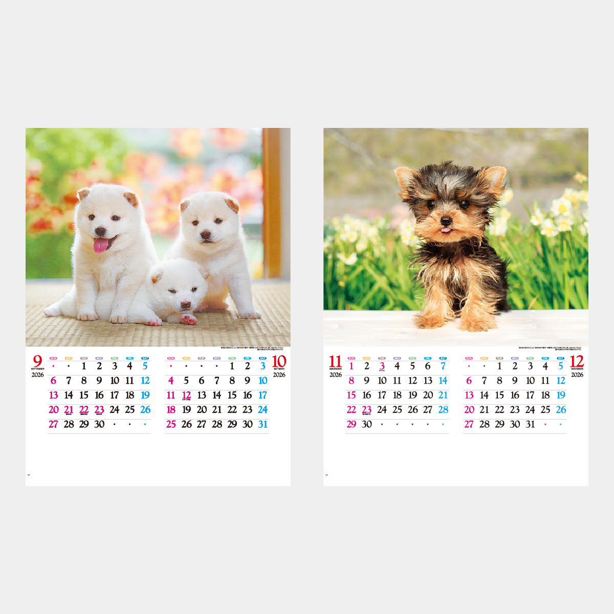 IC-203 かわいい犬