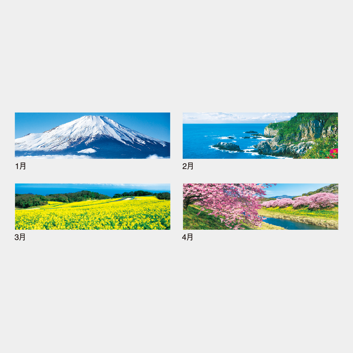 IC-255 季節のパノラマ(小)