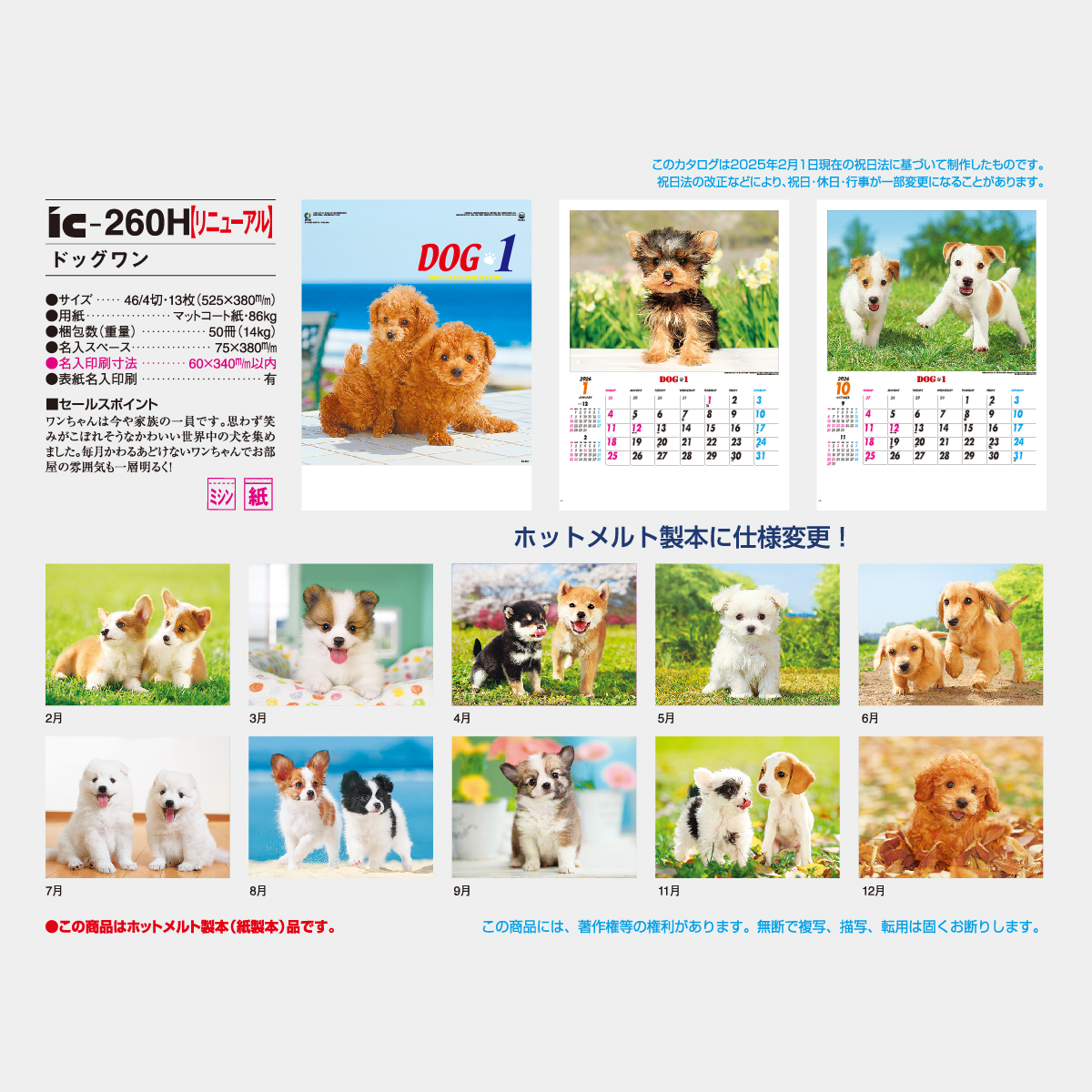 IC-260 ドッグワン