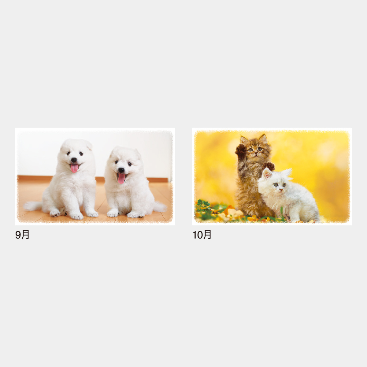本日最終　アイアン　ダイアリー　アンティーク　　カレンダー　蚤の市　雑貨 Amazon.co.jp: [GZGZ] アイアン猫脚花台 大中小3点セット 花台 F