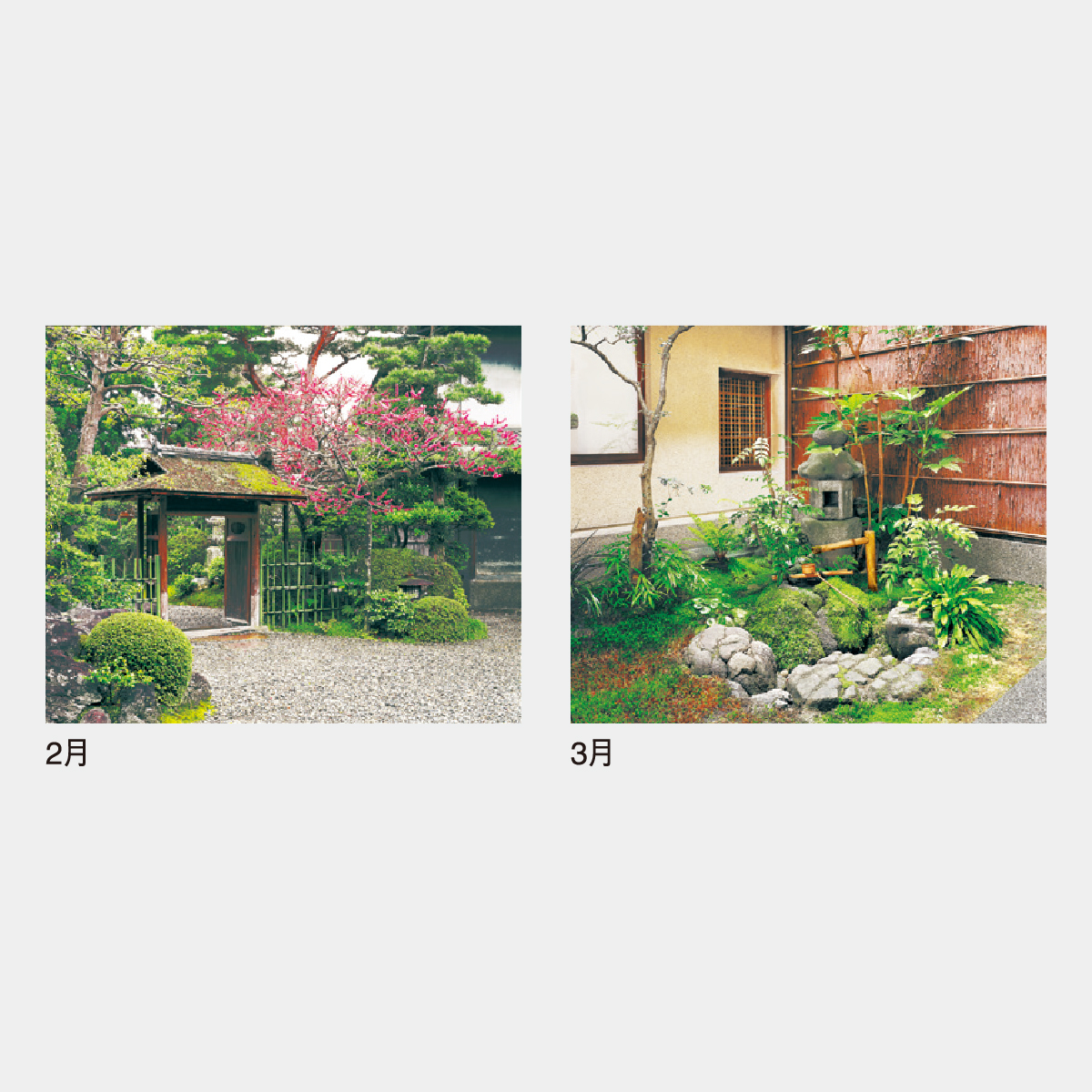 m's エムズ | 【7月カレンダー】 気づいたら7月になってたので
