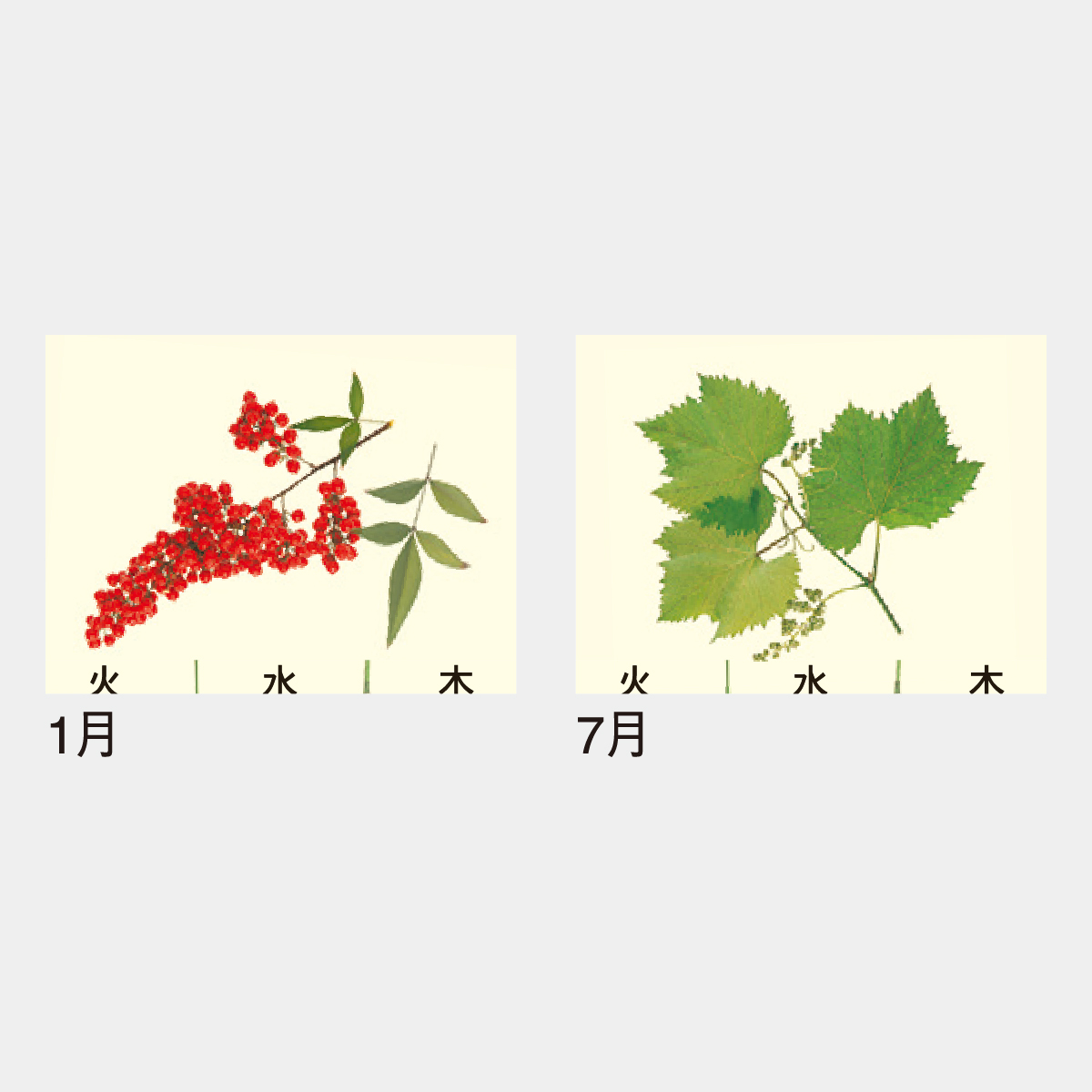 IC-714 エコレンダー
