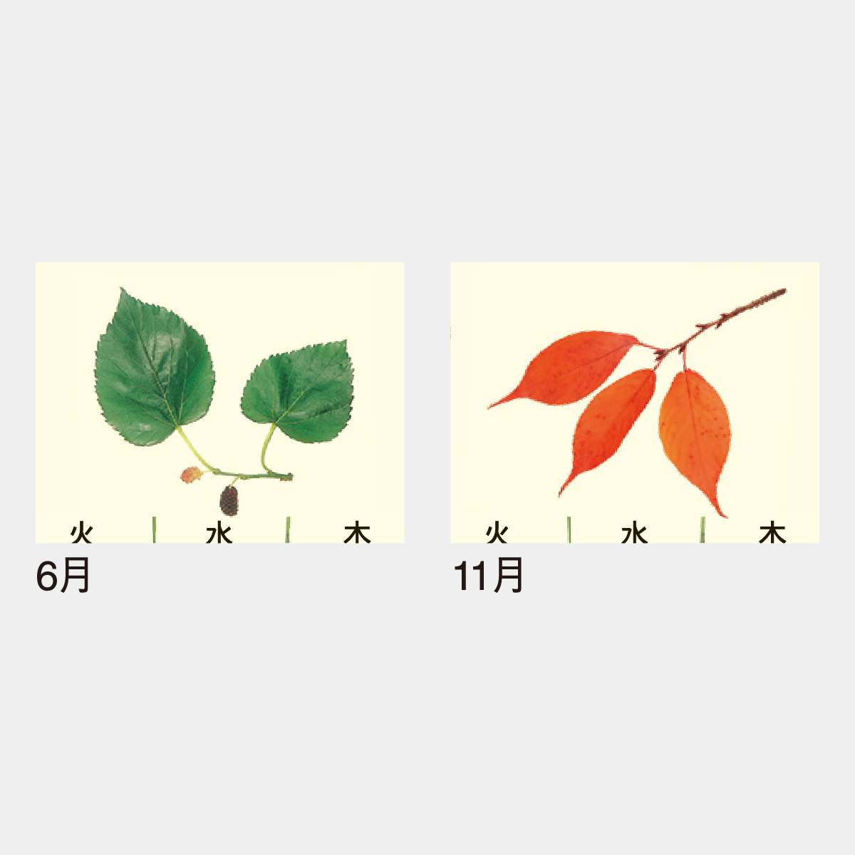 IC-714 エコレンダー