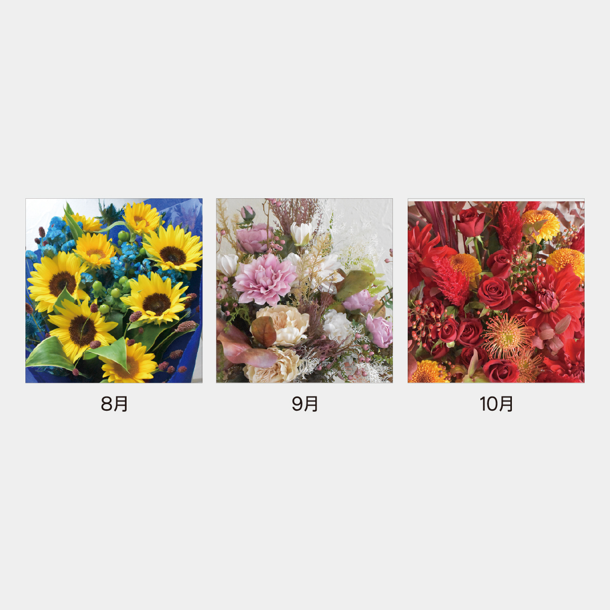 JT-005 フラワーマンスリー