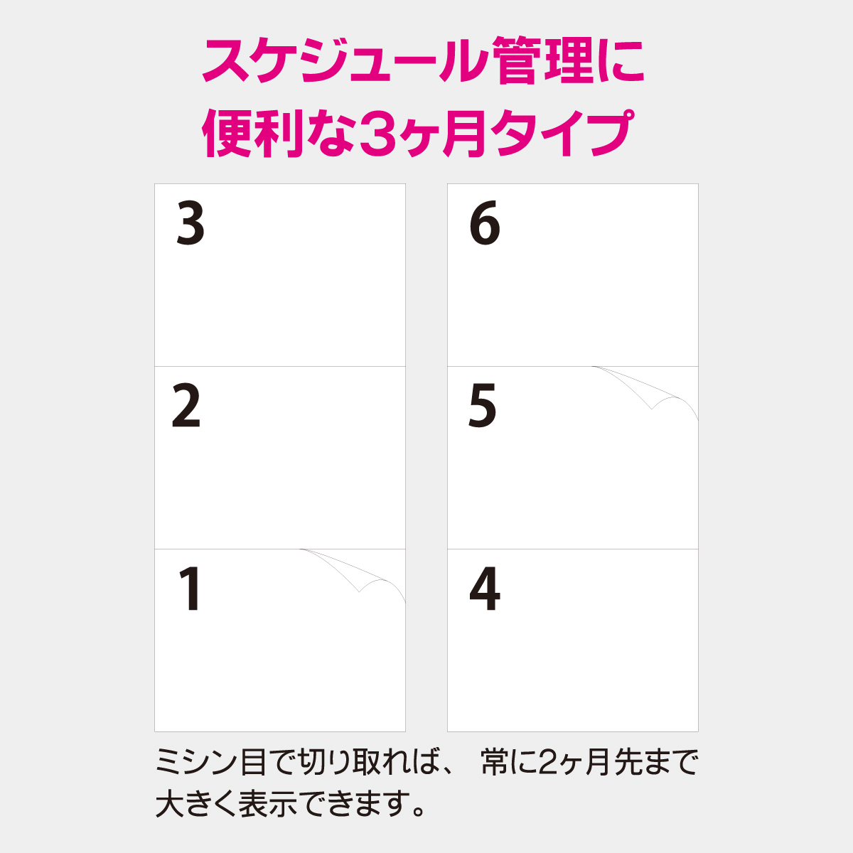 JT-101 3ヶ月・3色スケジュールカレンダー
