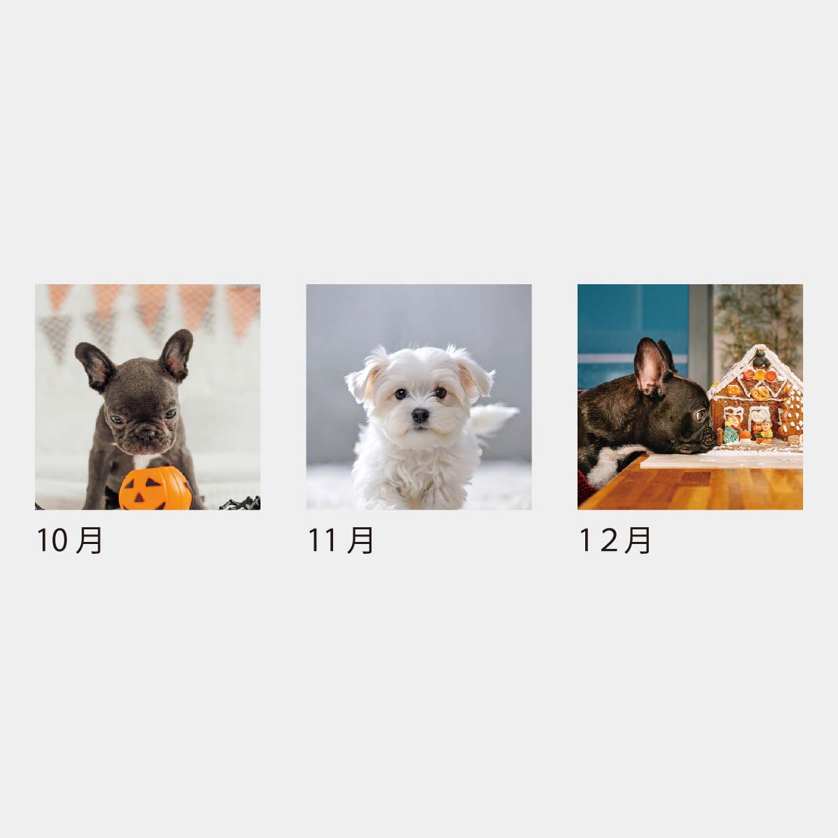 KJ-100 ドッグデスク(ケース)(フルカラー)