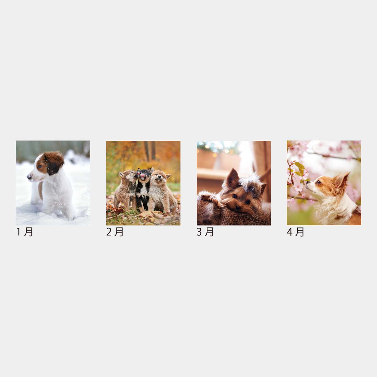 KJ-100R ドッグデスク（リング）（フルカラー）