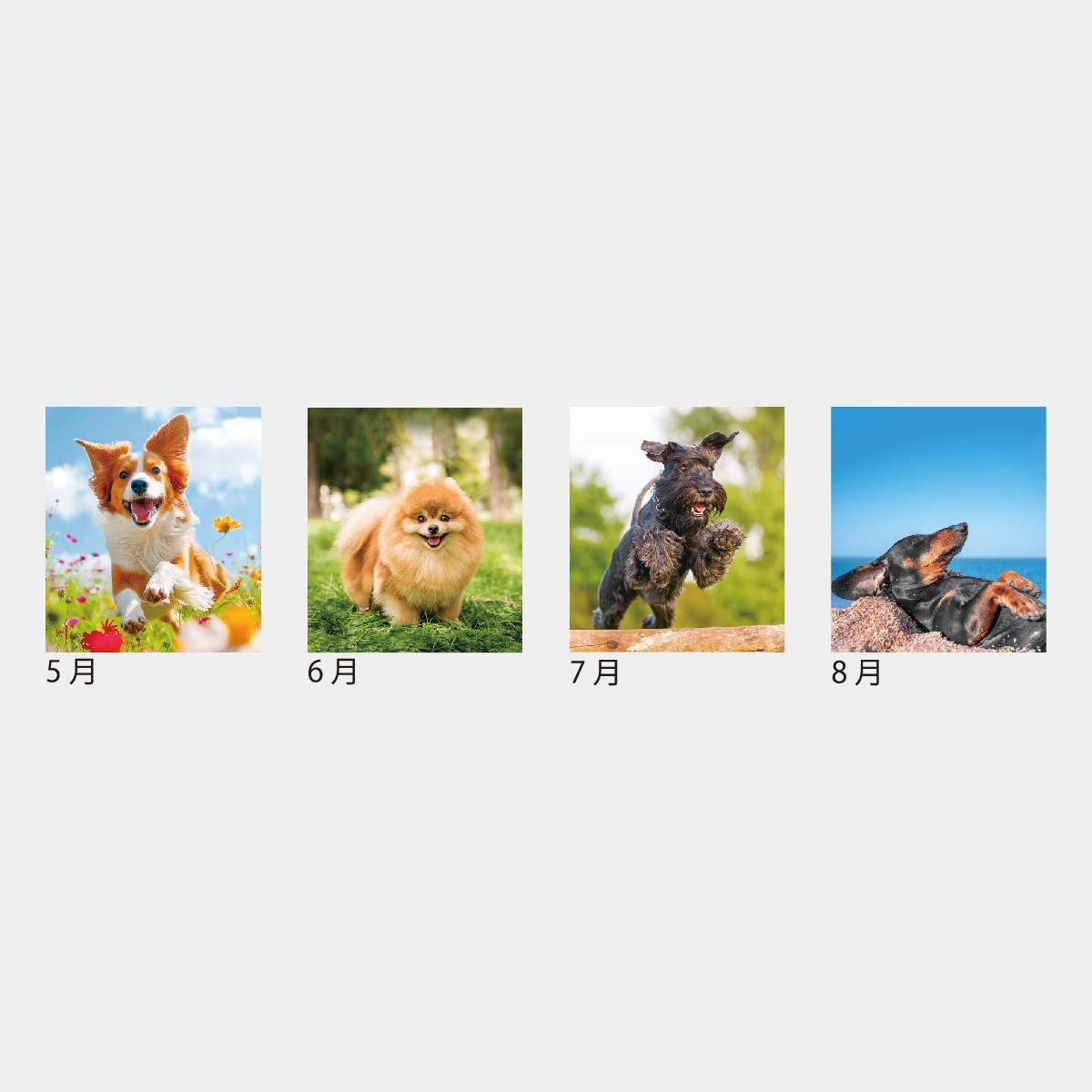 KJ-100R ドッグデスク（リング）（フルカラー）