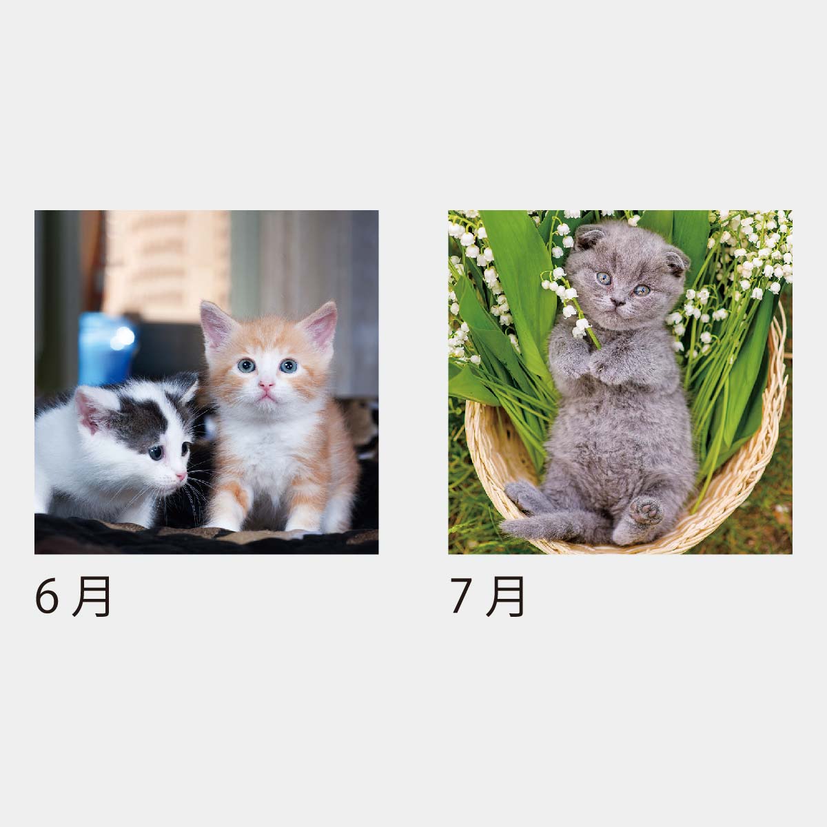 KJ-200 キャットデスク（ケース）（フルカラー）