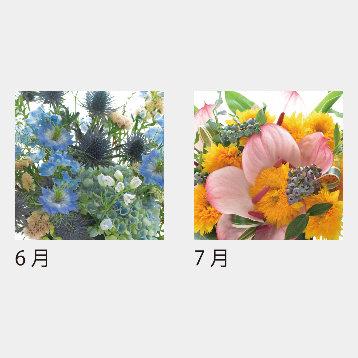 KJ-300 フラワーデスク(ケース)(フルカラー)