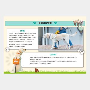 KY-201 日本盲導犬協会カレンダー