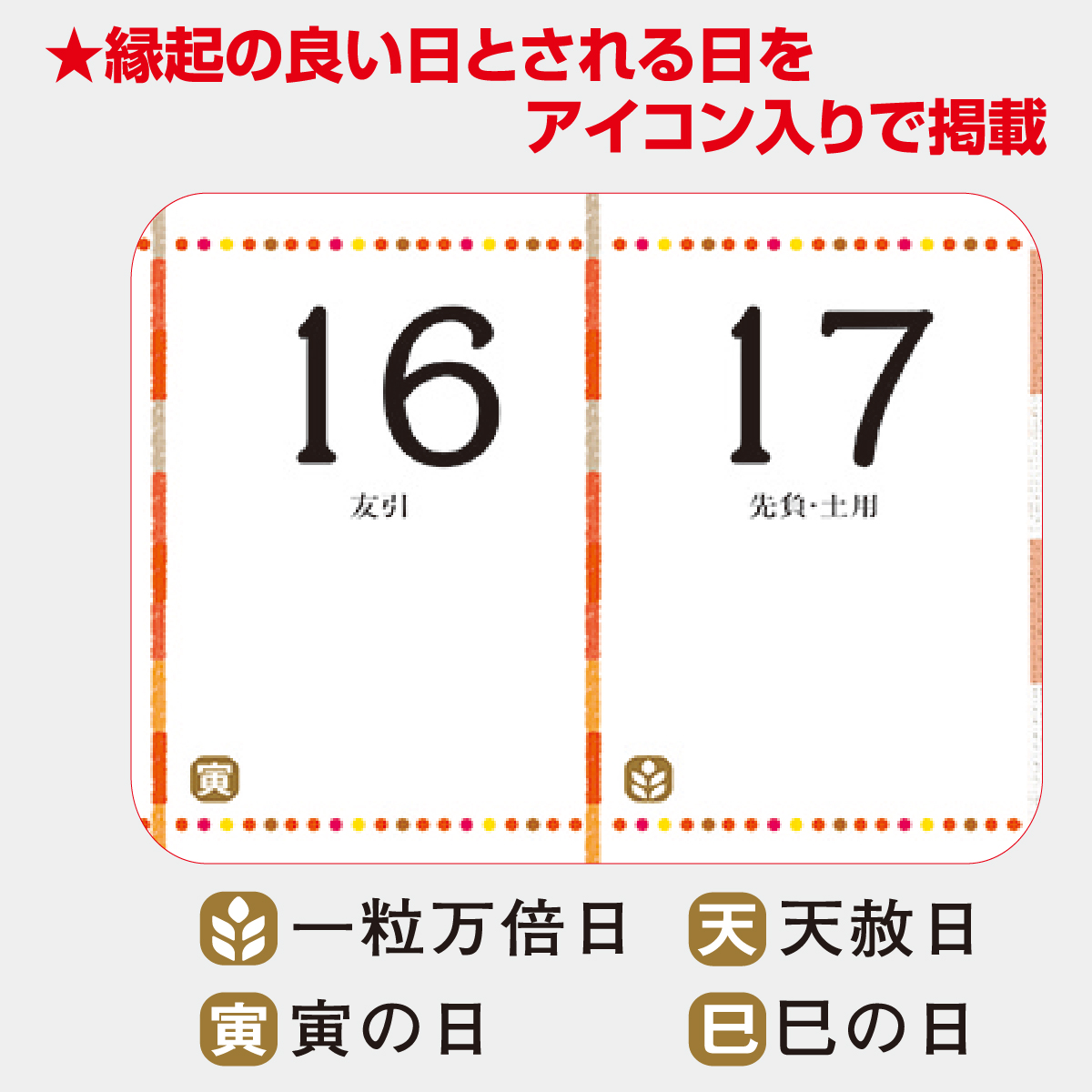 MM-204 いちまつ(ichimatsu)