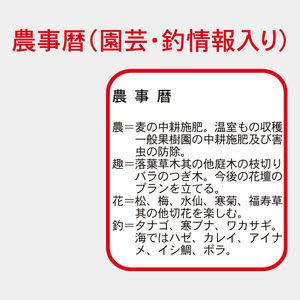 MS-400 厚口数字月表