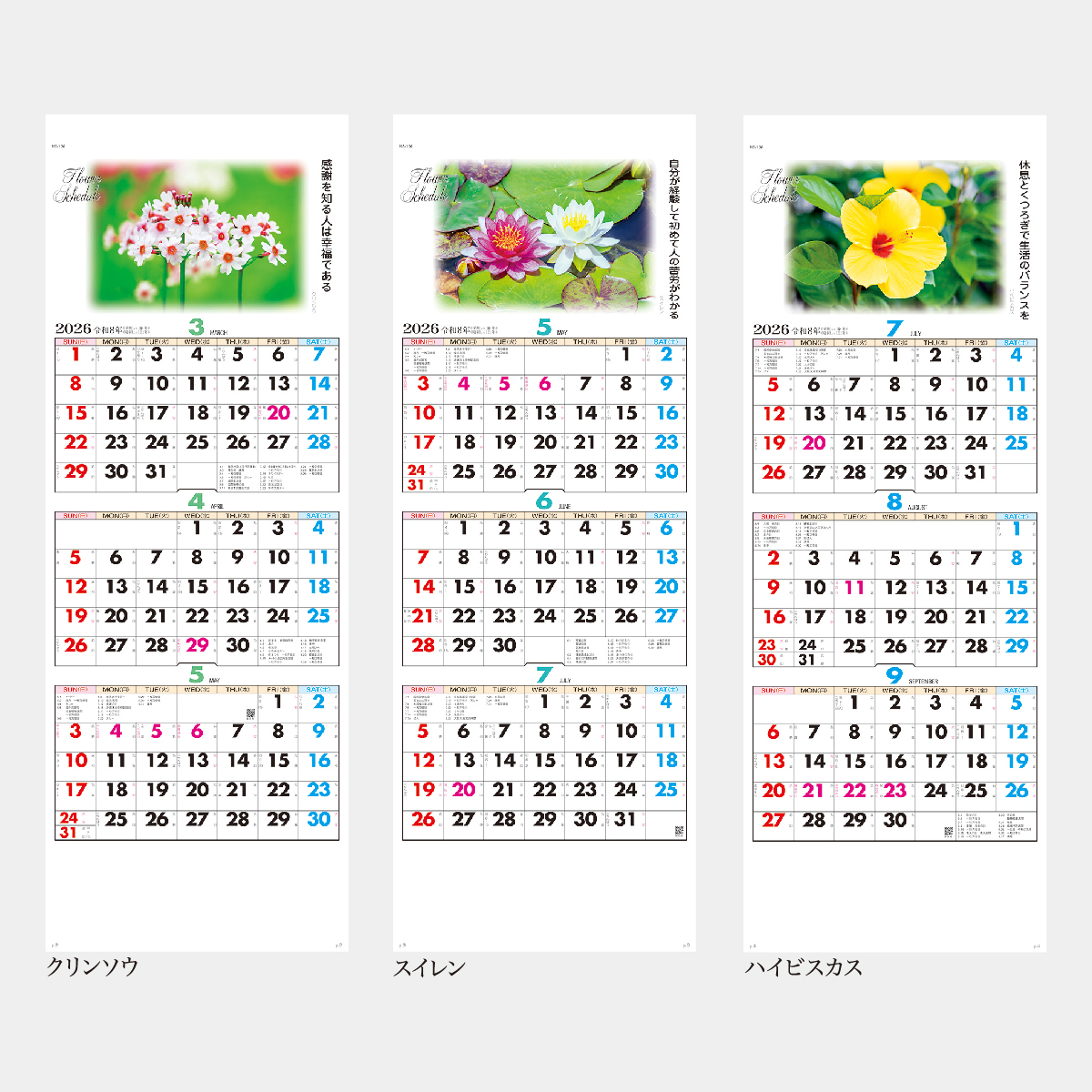 NA-104 フラワー三ヶ月