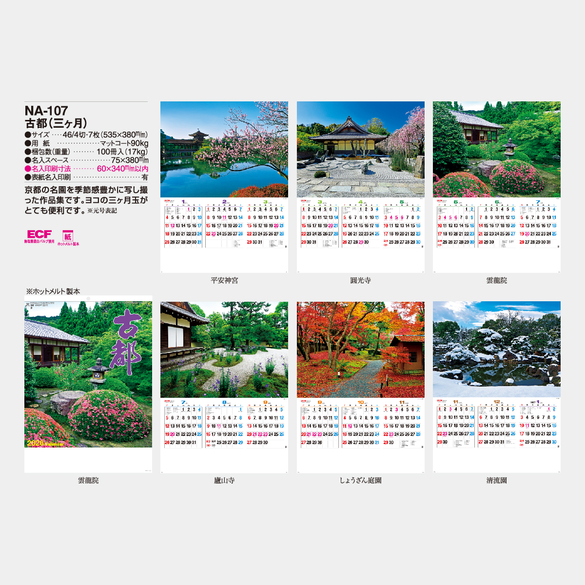 NA-107 古都(三ヶ月)