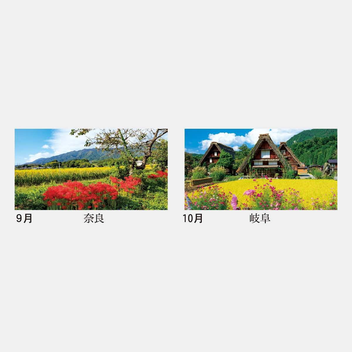 NA-116 日本の叙情