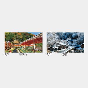 NA-116 日本の叙情