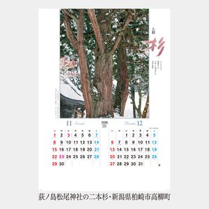 NA-134 大樹