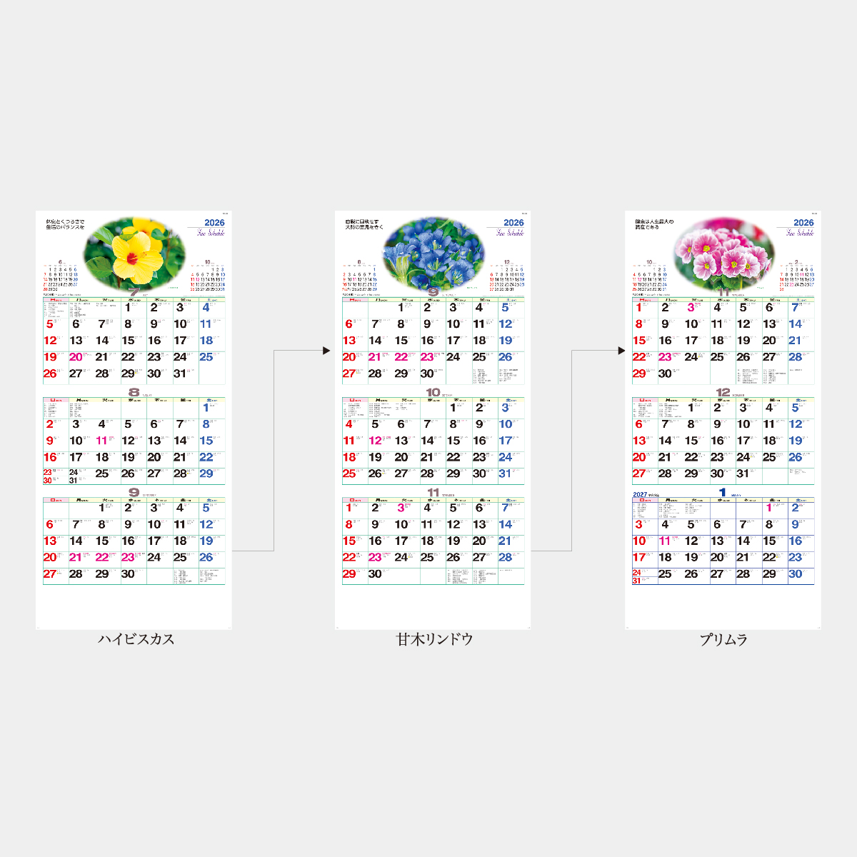 NA-139 ファインスケジュール