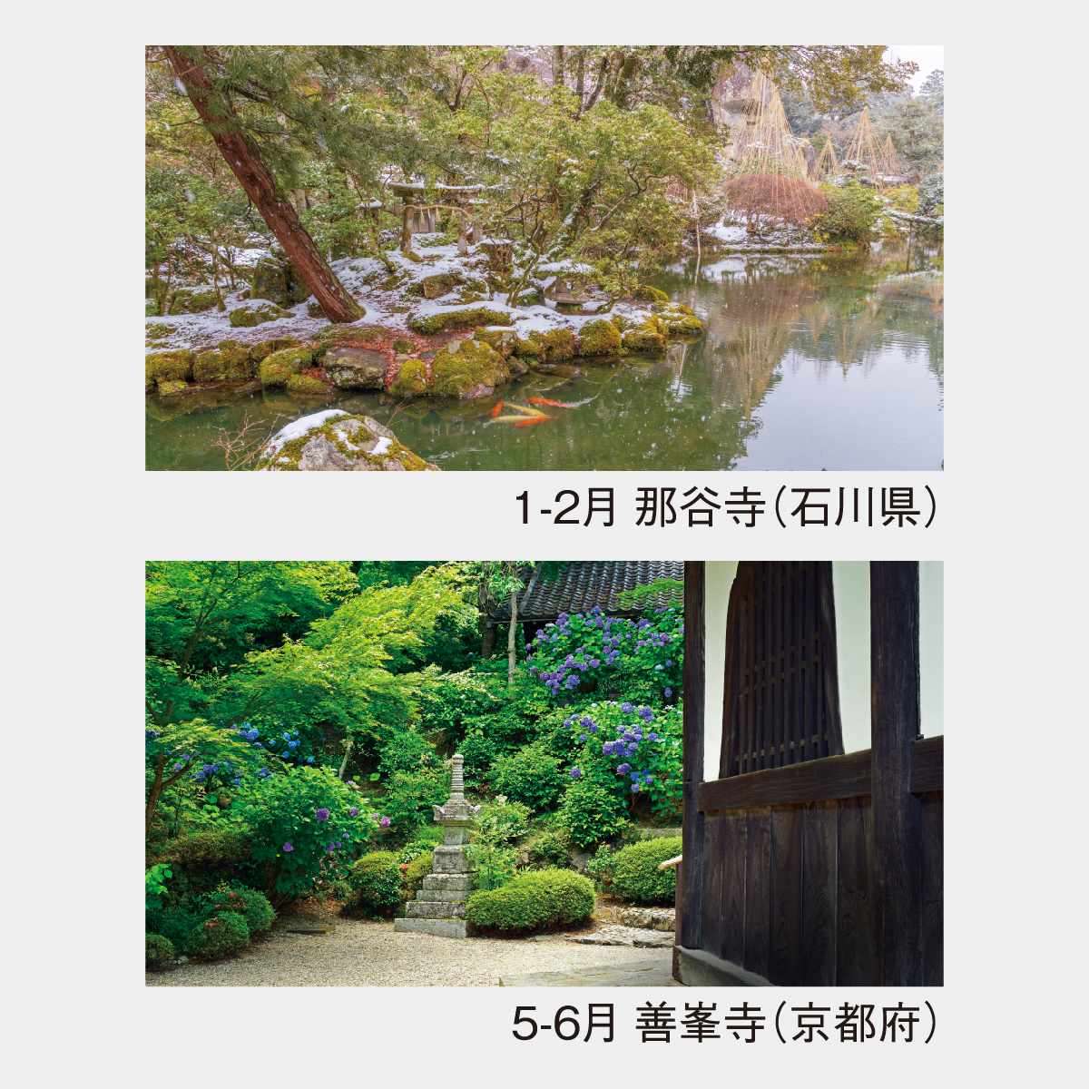 【ぬまぞう】　フィルム四季の庭園　　　　　　2025年度　壁掛けカレンダー フィルム四季の庭園 2025年度 壁掛けカレンダー