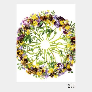 NC-203 卓上・花グラフィックアート(川崎景太作品集)