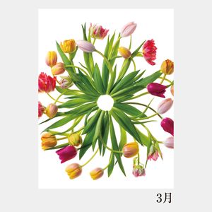 NC-203 卓上・花グラフィックアート(川崎景太作品集)