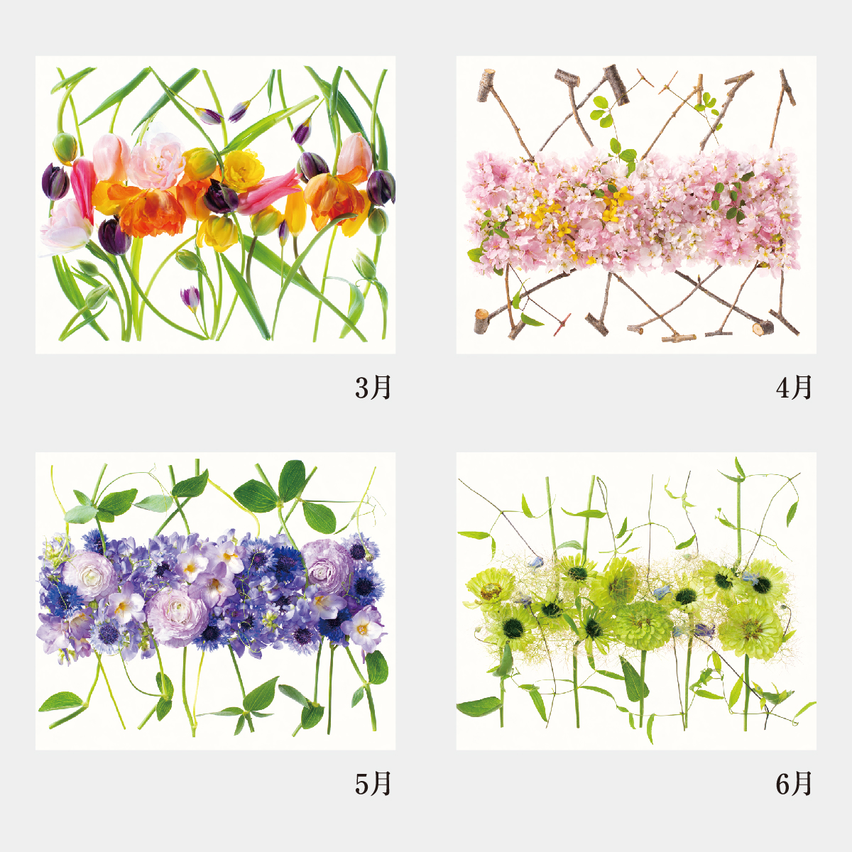 Nc 7 花グラフィック 川崎景太作品集 21年版名入れカレンダーを格安で販売 名入れカレンダー印刷 Com
