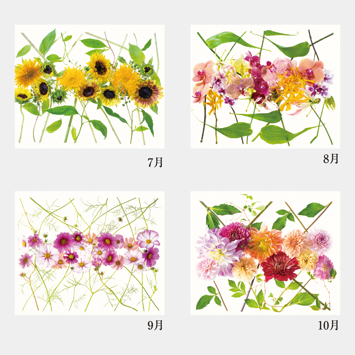 Nc 7 花グラフィック 川崎景太作品集 21年版名入れカレンダーを格安で販売 名入れカレンダー印刷 Com