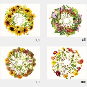 NC-7 花グラフィックアート(川崎景太作品集)