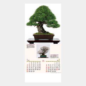 ND-115 銘樹(盆栽) 名入れカレンダー  