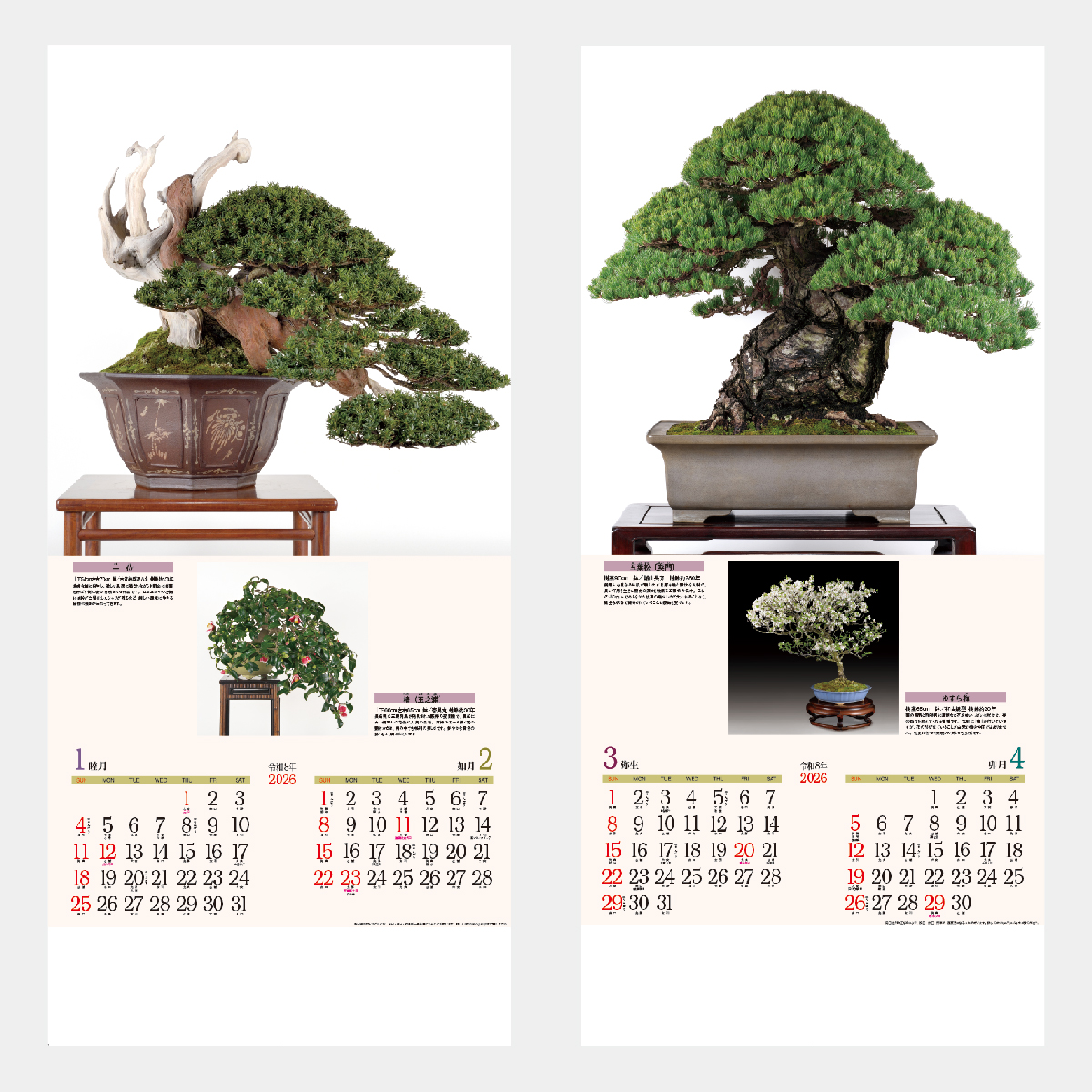 ND-115 銘樹(盆栽)