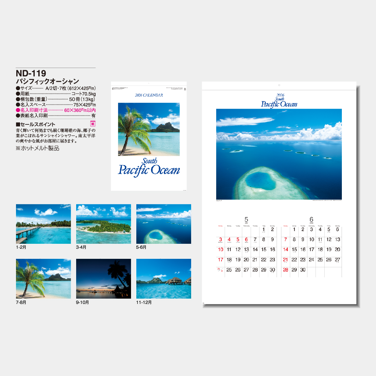 ND-119 パシフィックオーシャン