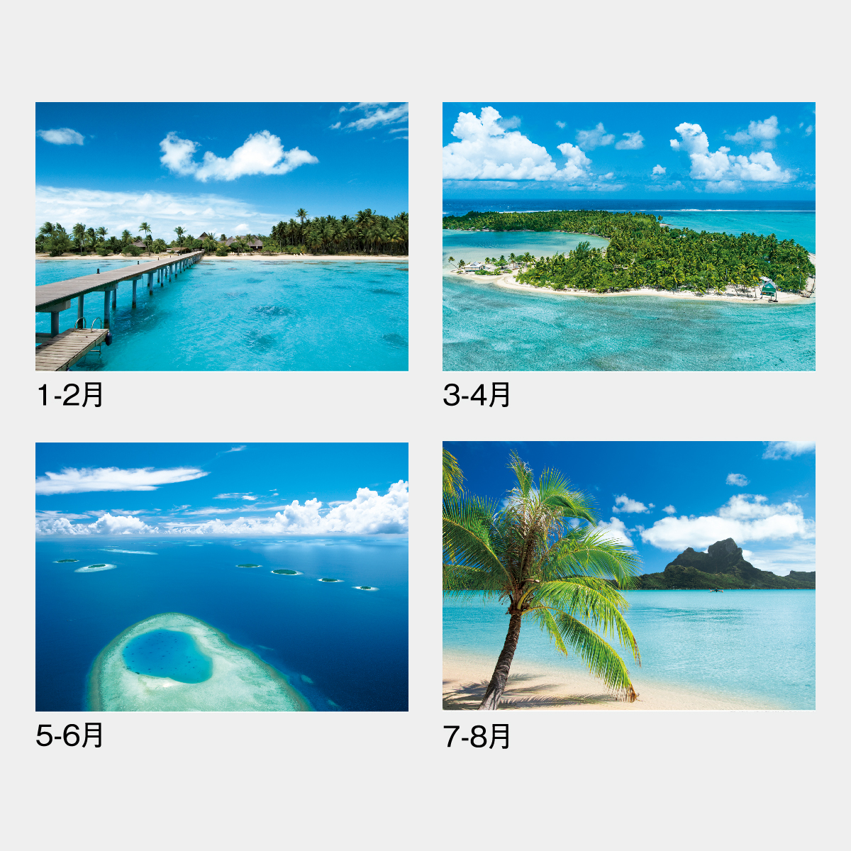 ND-119 パシフィックオーシャン