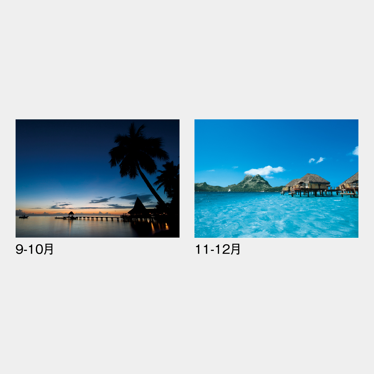 ND-119 パシフィックオーシャン