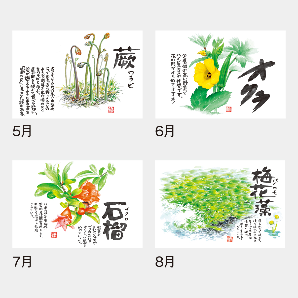 ND-133 草花遊心・田中陽一郎作品集