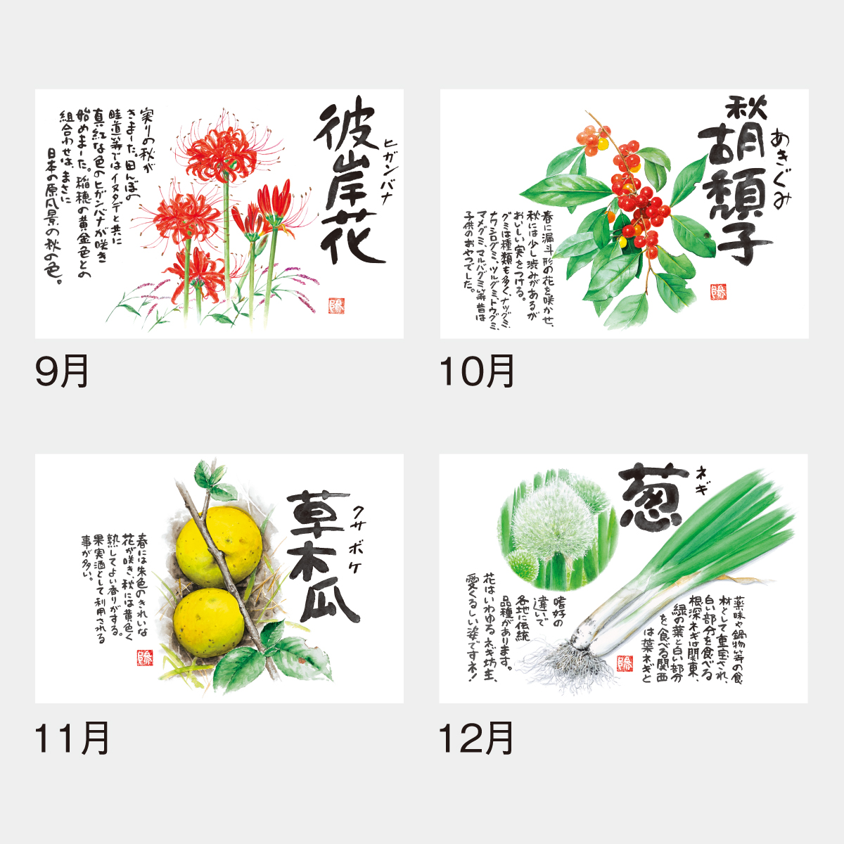 ND-133 草花遊心・田中陽一郎作品集